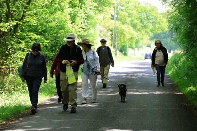 Approaching Salome Wood: 20 May 2023