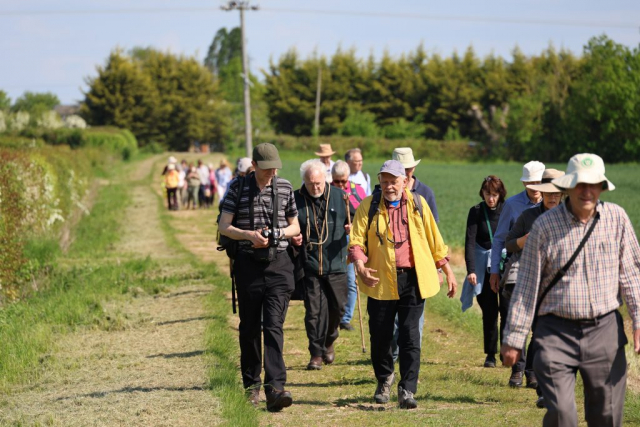 Between Hamerton and Steeple Gidding: 20 May 2023